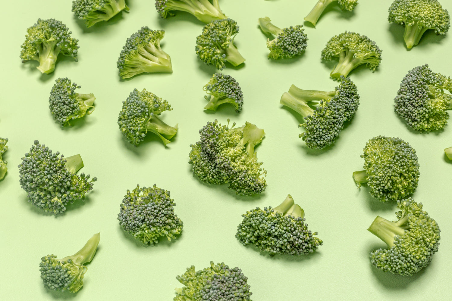 Temporary visual of Broccoli in place of employee portrait.